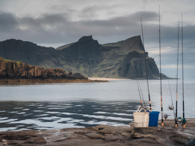 Meilleurs spots de pêche côtière à la Réunion : spots, espèces, conseils